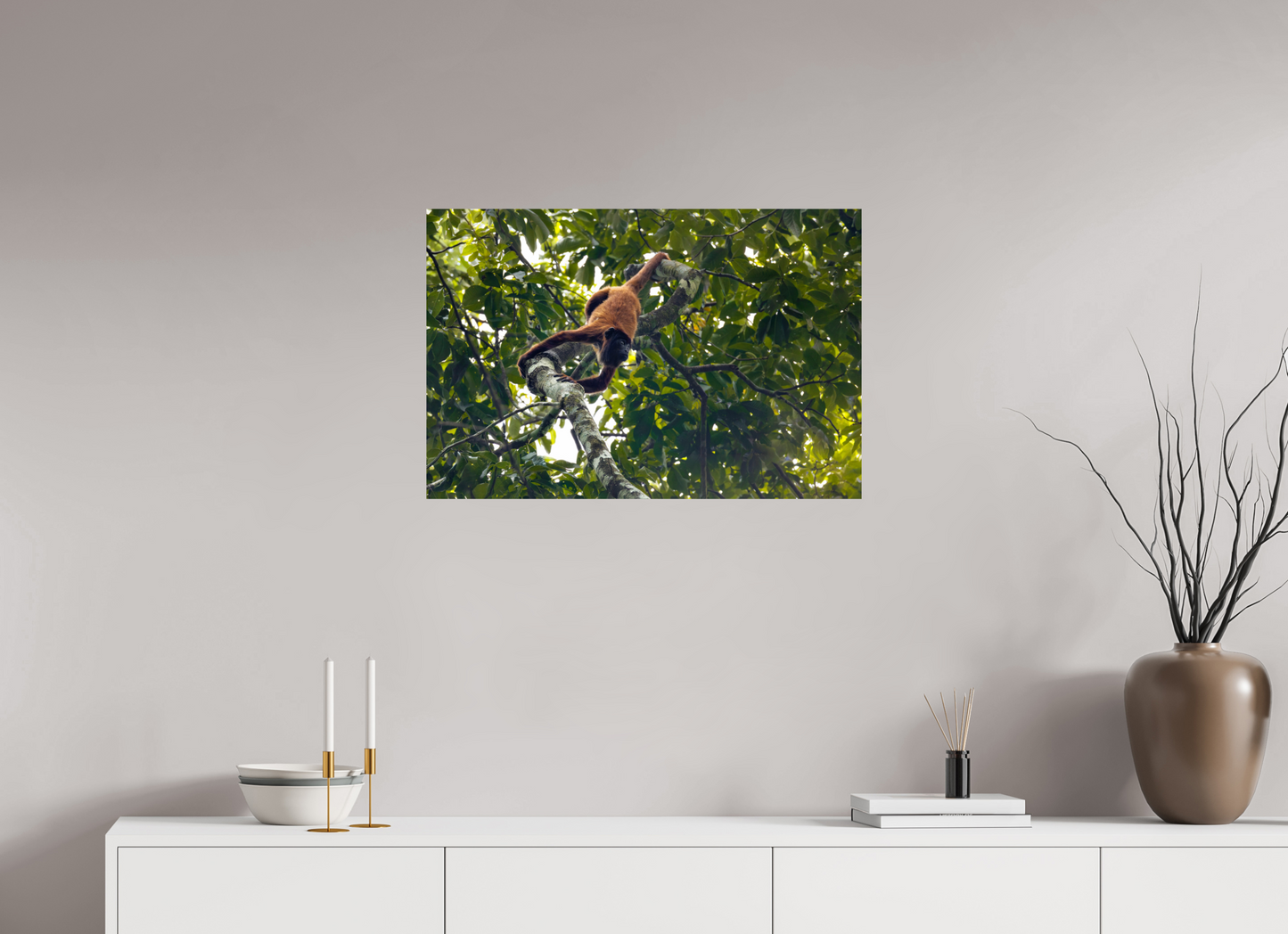 75 x 50 cm, Smooth Glossy Howler Monkey