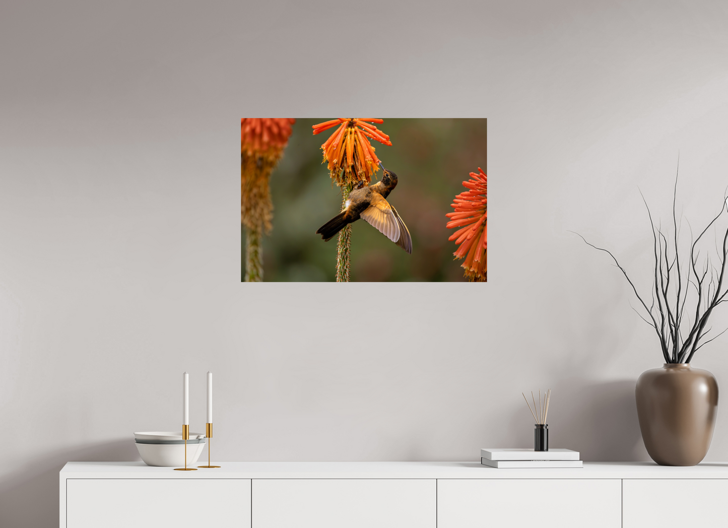 75 x 50 cm, Smooth Glossy hummingbird11