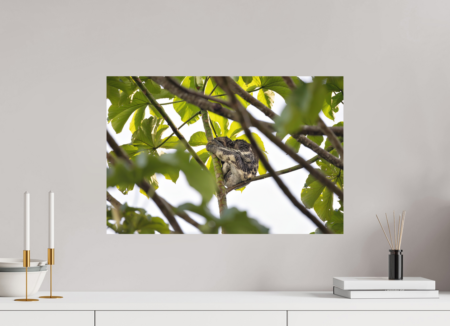 60 x 40 cm, Textured Matte sloth