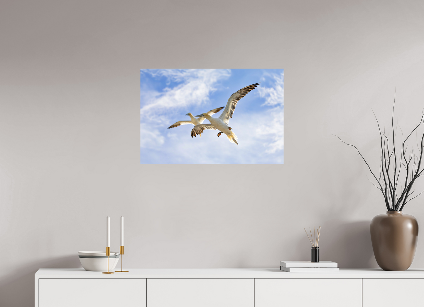 75 x 50 cm, Smooth Glossy Soaring Seabirds