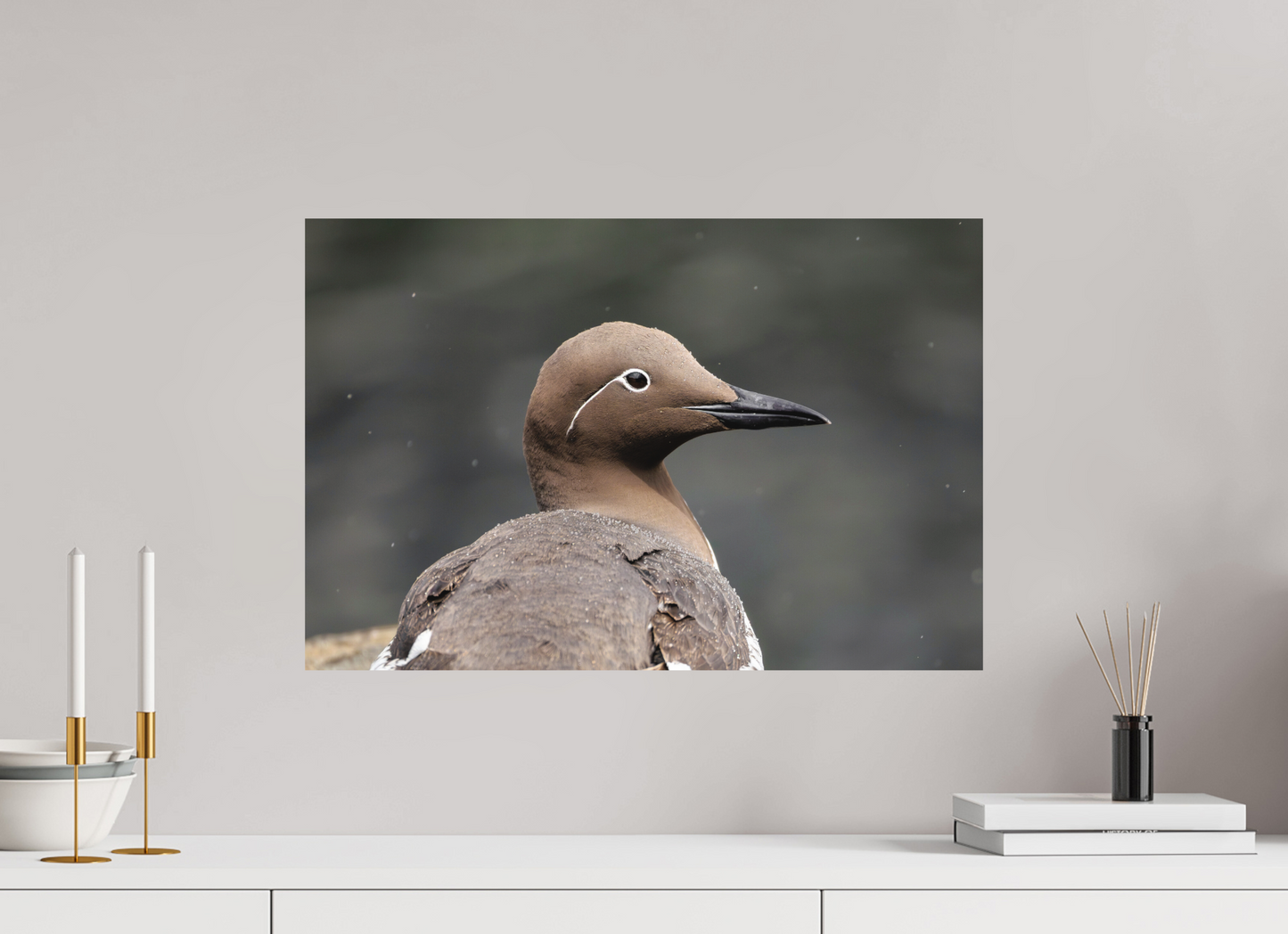 60 x 40 cm, Textured Matte Guillemot
