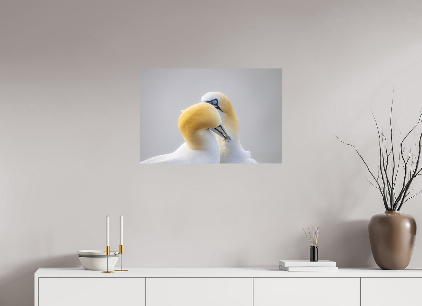 75 x 50 cm, Smooth Glossy Preening