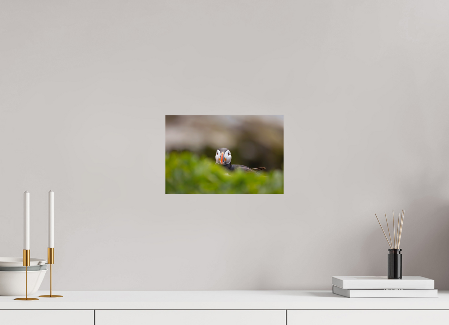 30 x 20 cm, Smooth Glossy puffin6