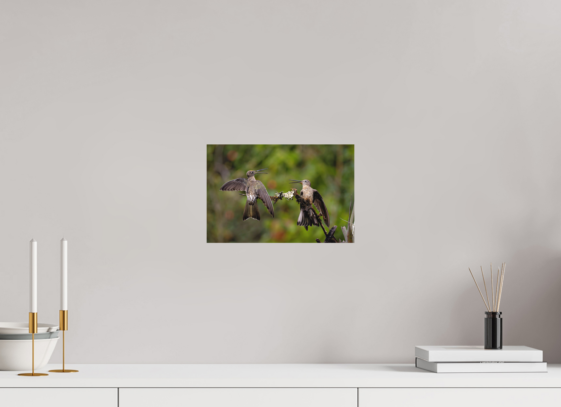 30 x 20 cm, Textured Matte giant hummingbirds