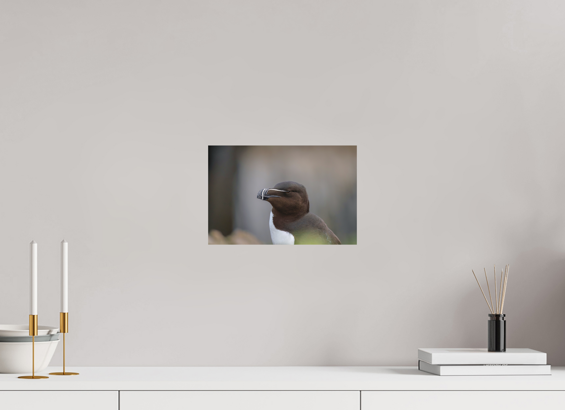 30 x 20 cm, Textured Matte Razorbill