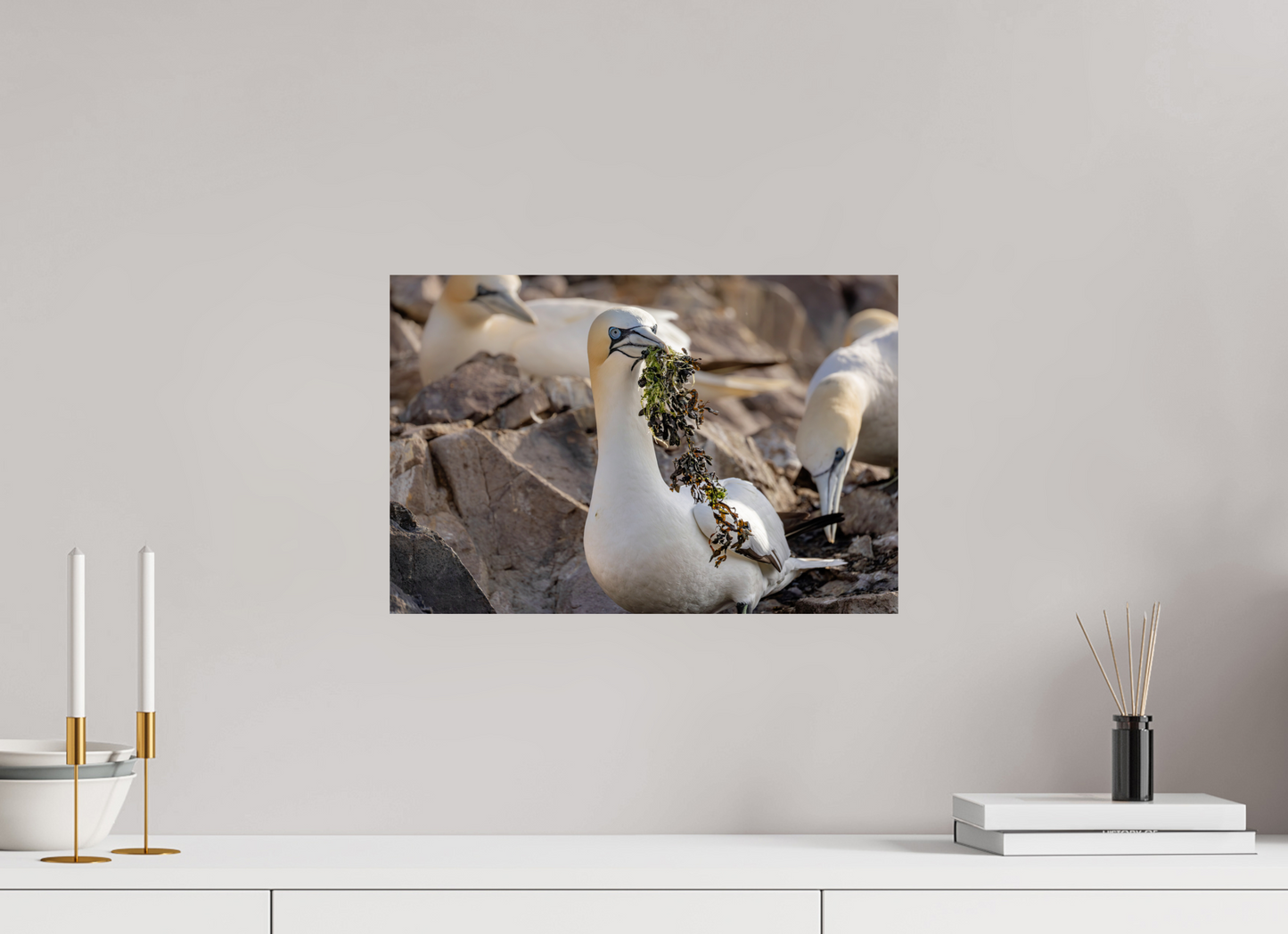 45 x 30 cm, Smooth Glossy .