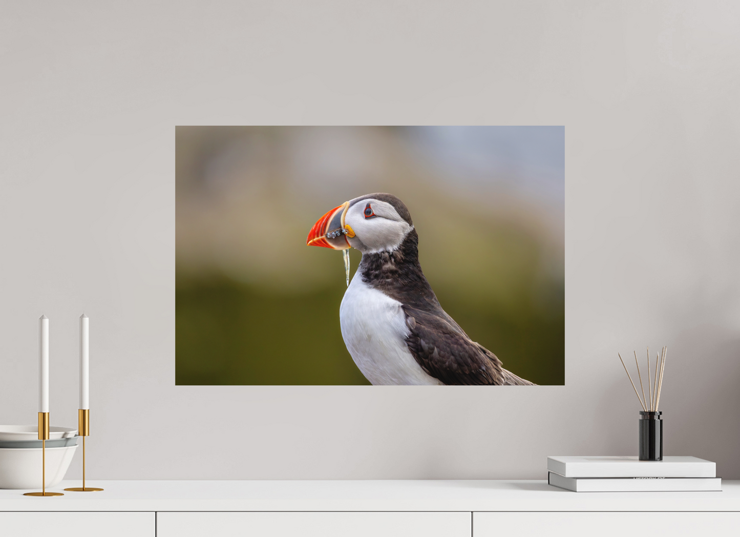 60 x 40 cm, Textured Matte puffin8
