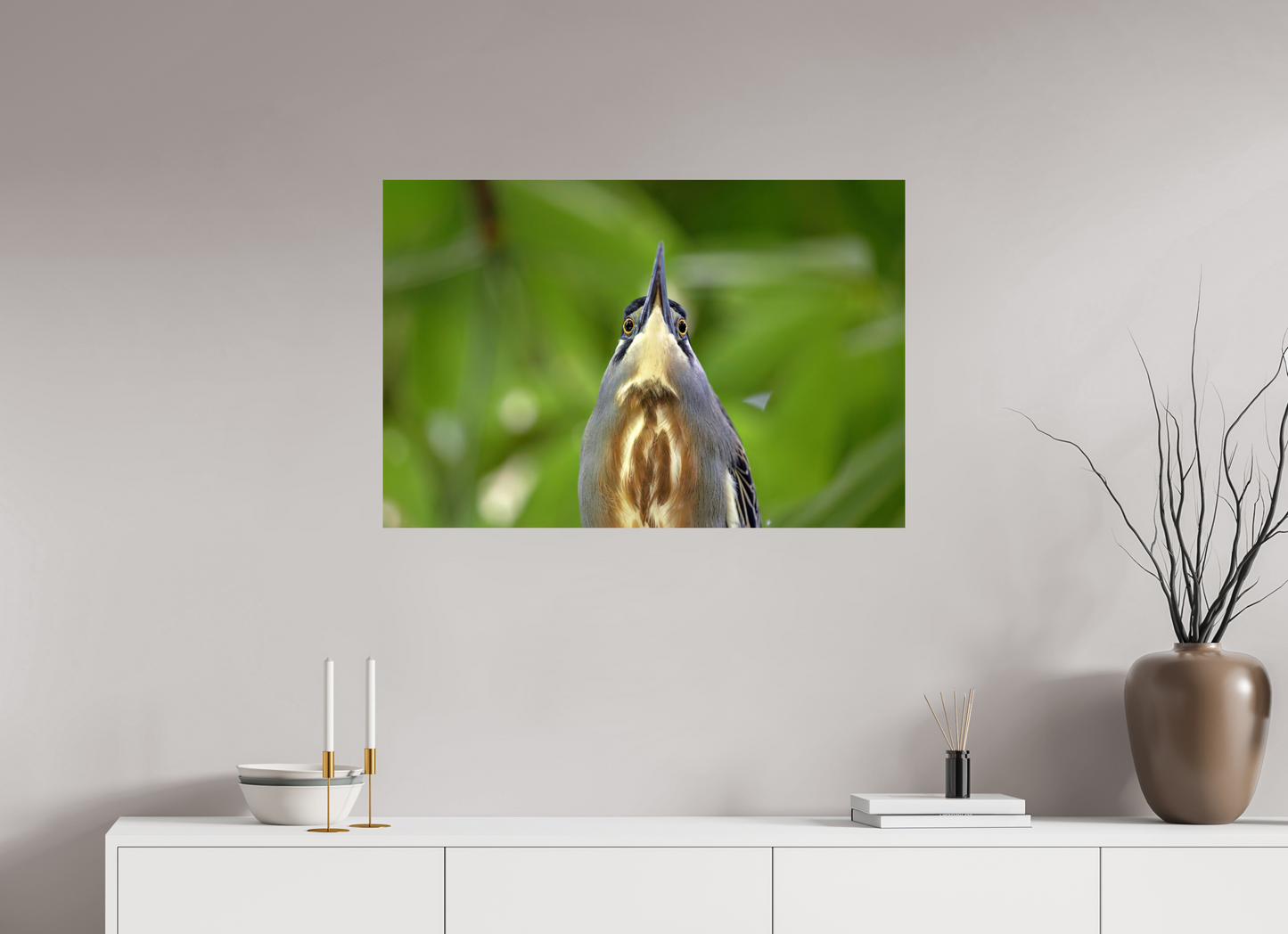 90 x 60 cm, Smooth Glossy young tiger heron