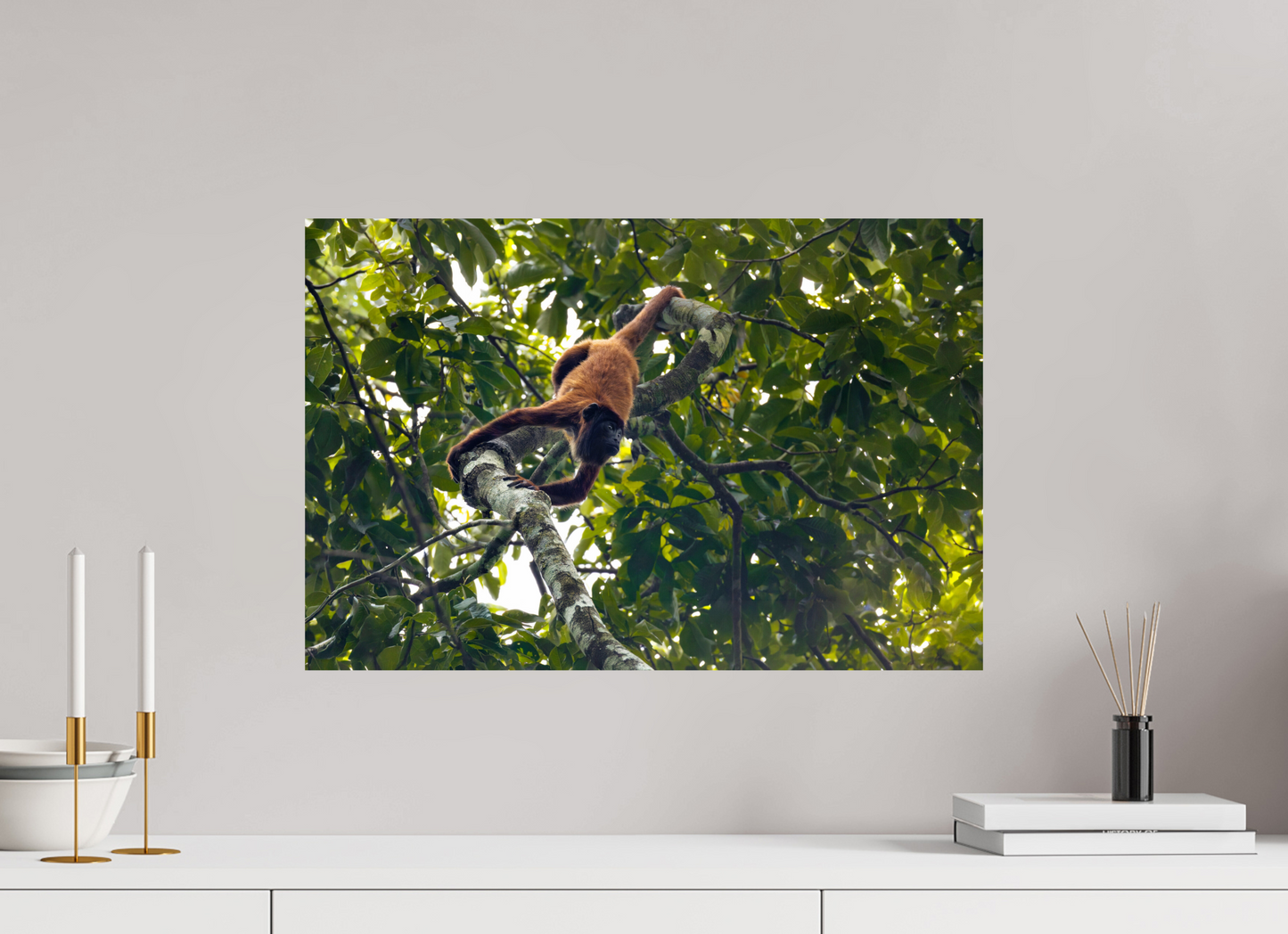 60 x 40 cm, Smooth Glossy Howler Monkey