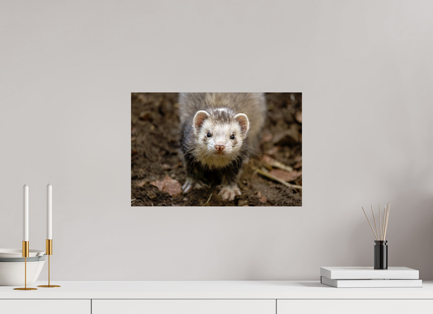 45 x 30 cm, Smooth Glossy ferret