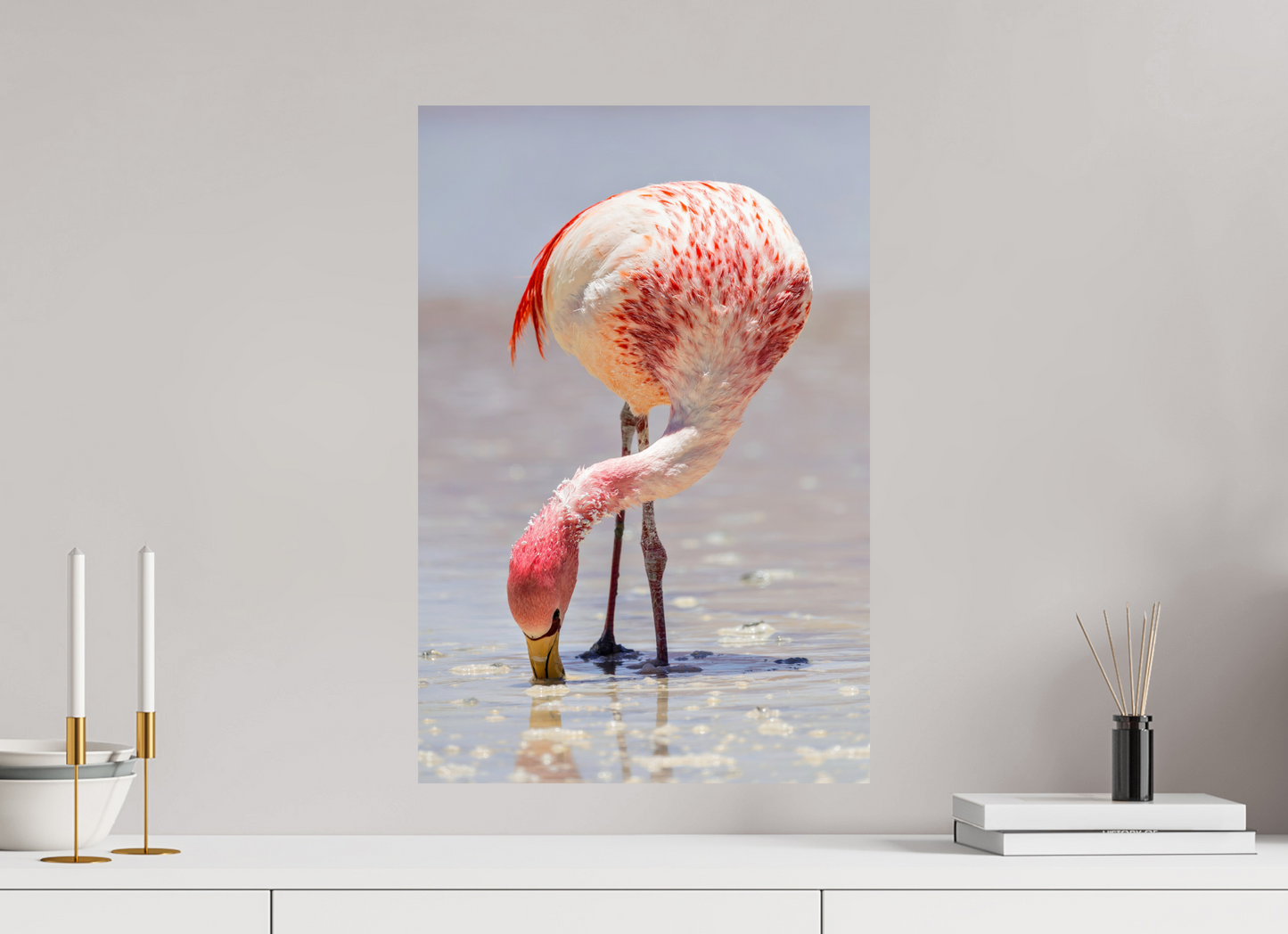 40 x 60 cm, Smooth Glossy Andean Flamingo
