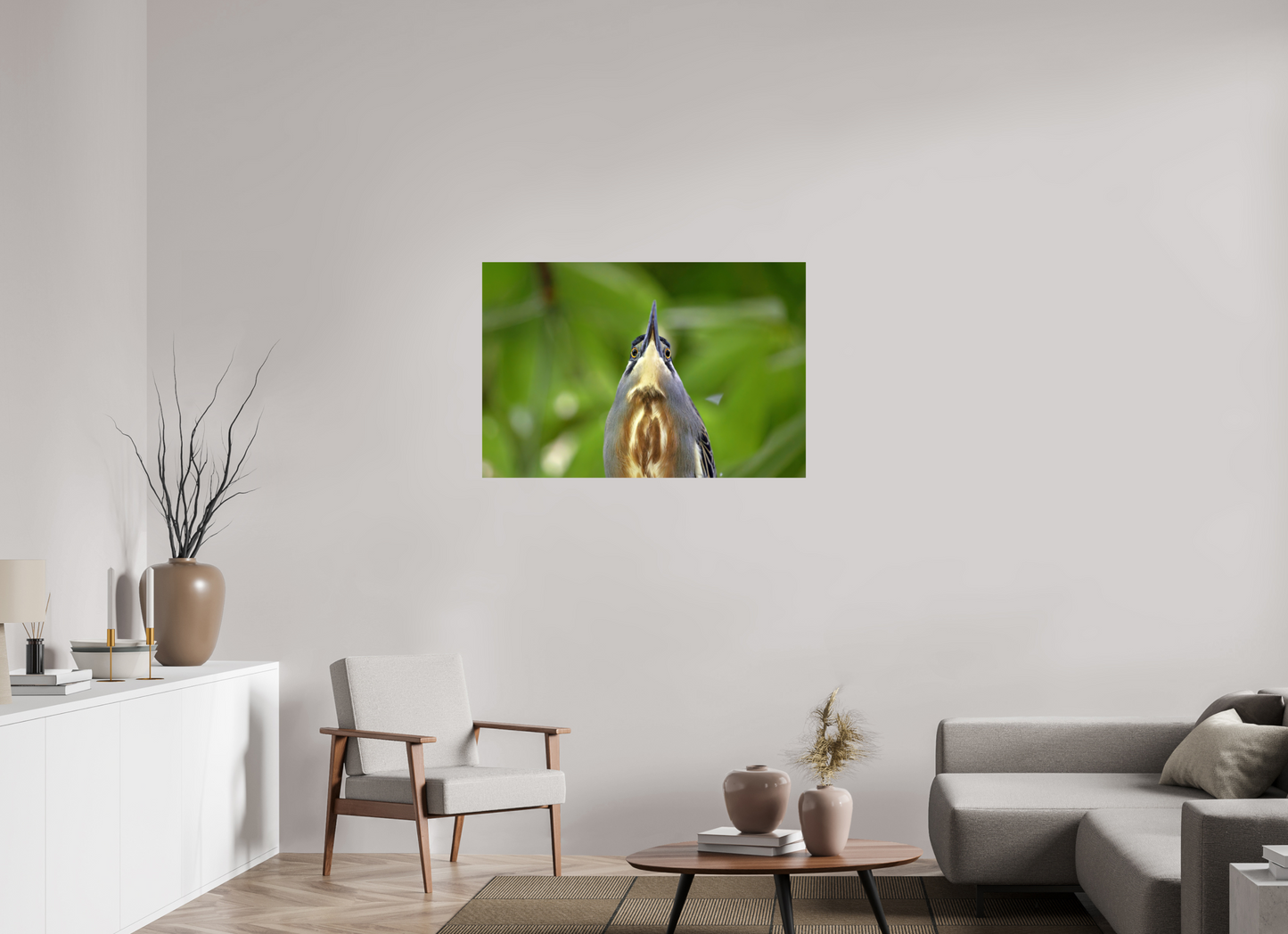 105 x 70 cm, Smooth Glossy young tiger heron