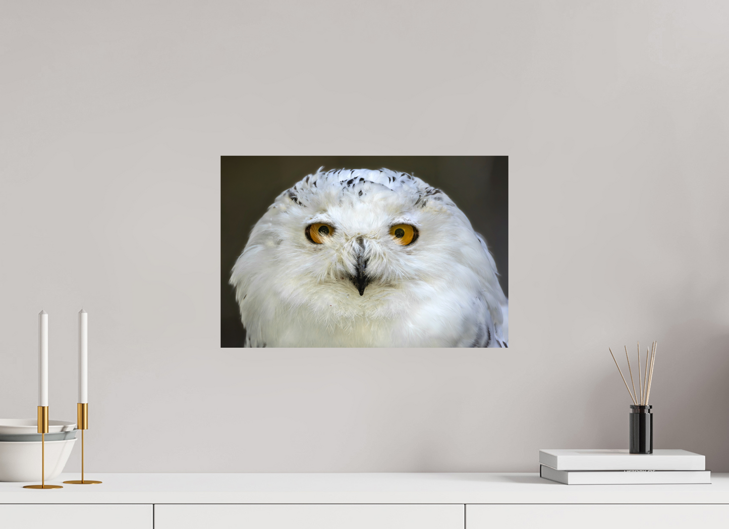 45 x 30 cm, Smooth Glossy snowy owl