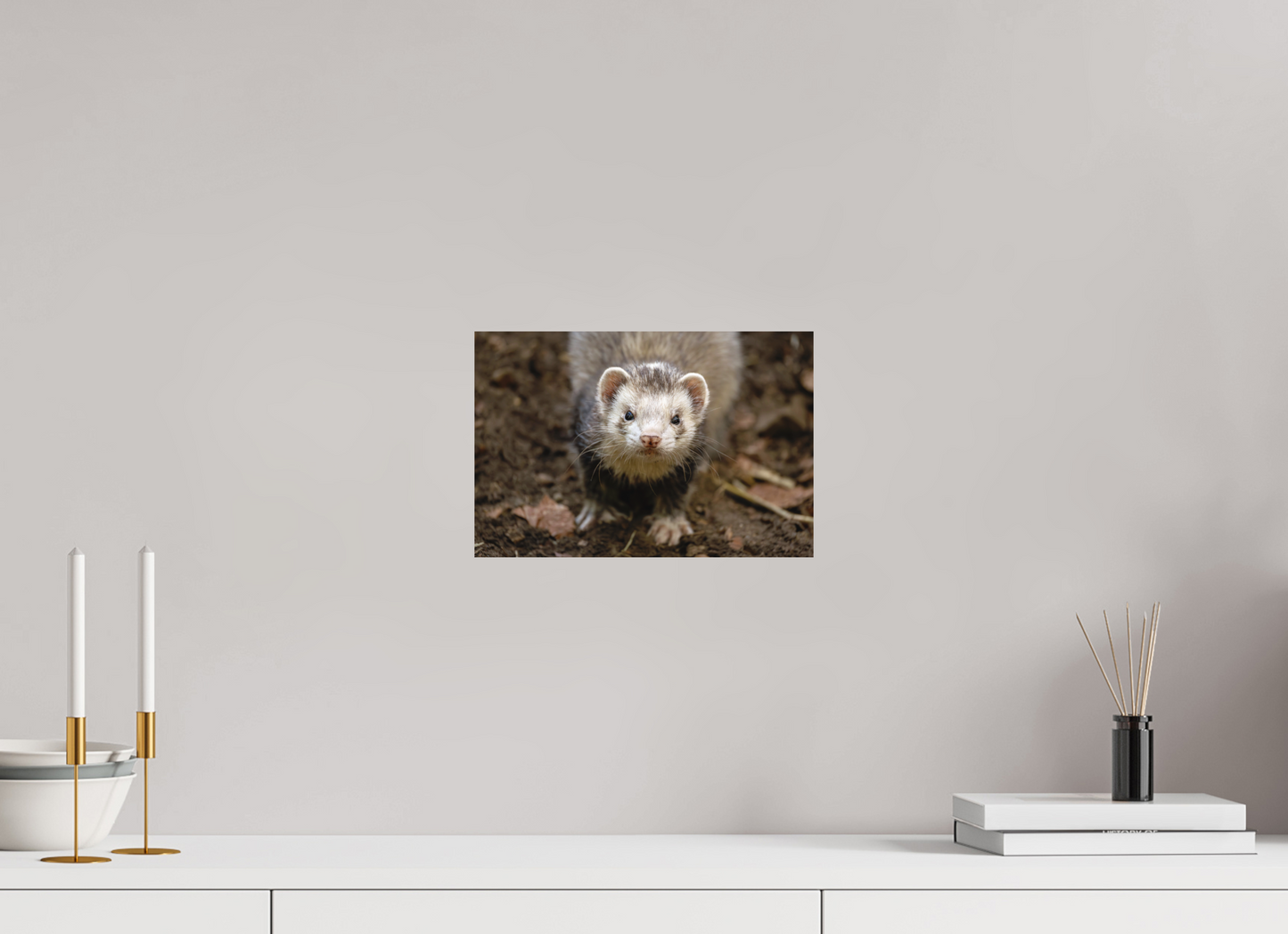 30 x 20 cm, Textured Matte ferret