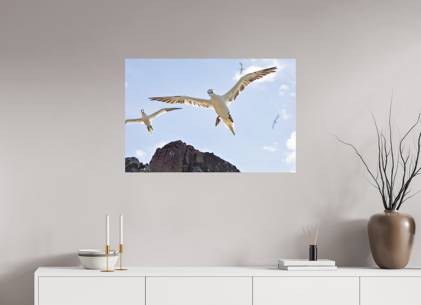 90 x 60 cm, Textured Matte Gannets2
