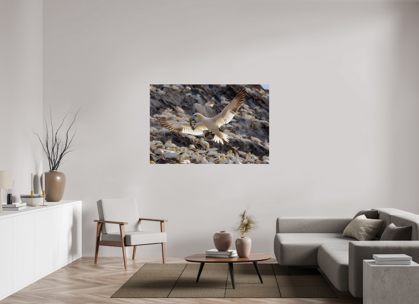 150 x 100 cm, Smooth Glossy Gannet with seaweed