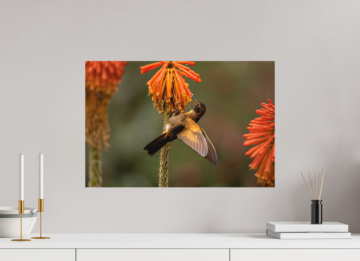 60 x 40 cm, Textured Matte hummingbird11