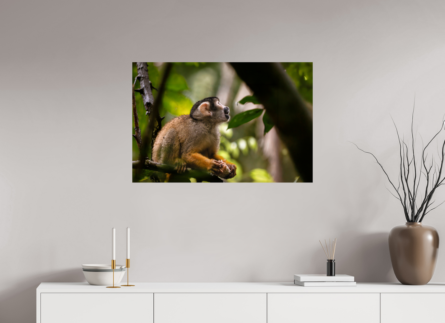 90 x 60 cm, Smooth Glossy Squirrel Monkey