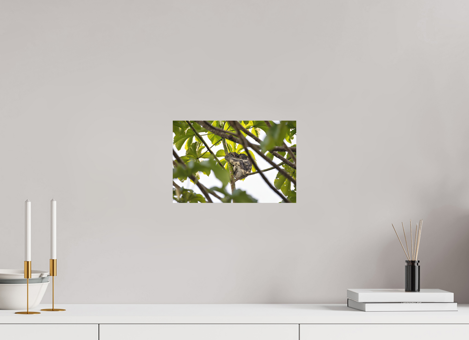 30 x 20 cm, Textured Matte sloth