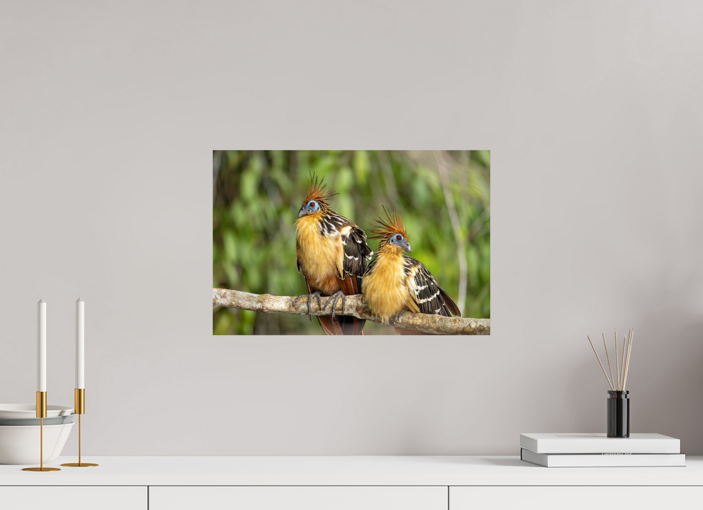 45 x 30 cm, Smooth Glossy Stinky Birds