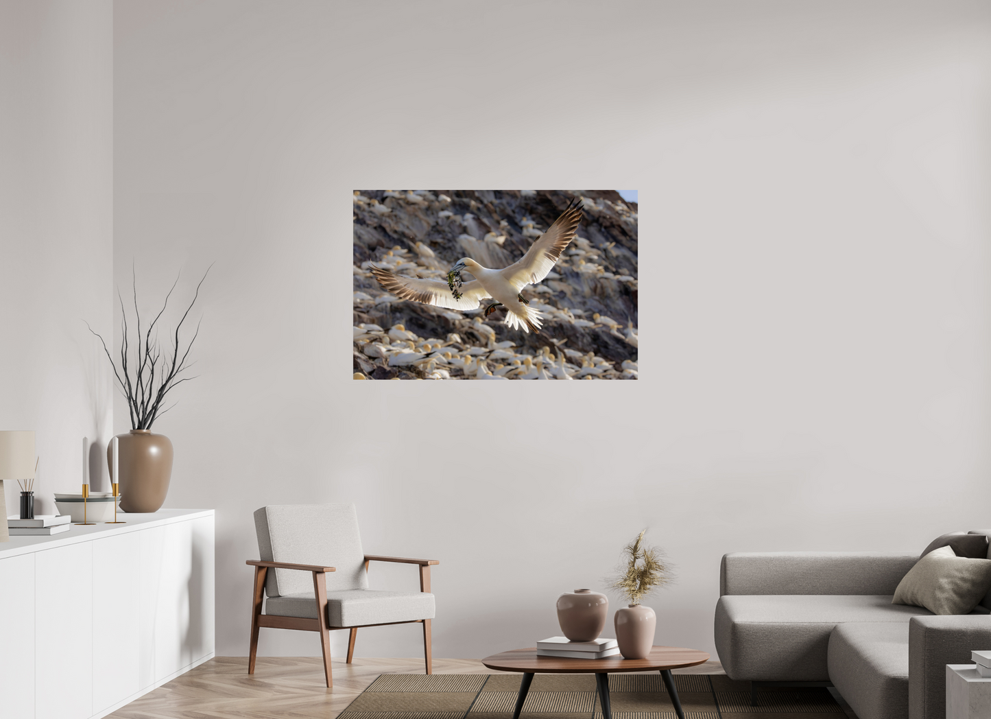 120 x 80 cm, Smooth Glossy Gannet with seaweed