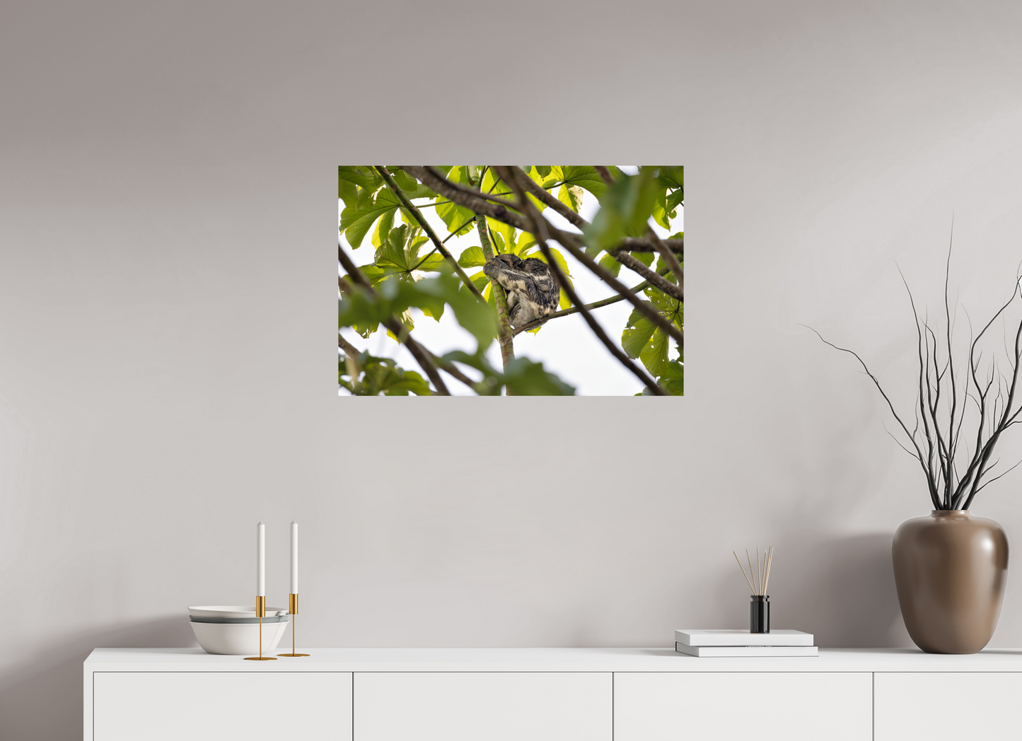 75 x 50 cm, Smooth Glossy sloth