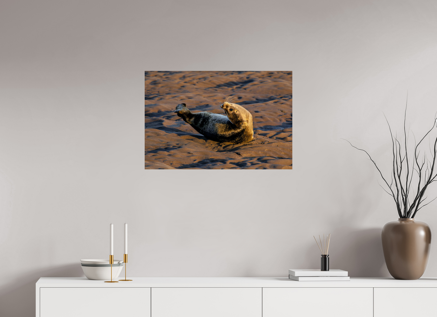 75 x 50 cm, Smooth Glossy young seal