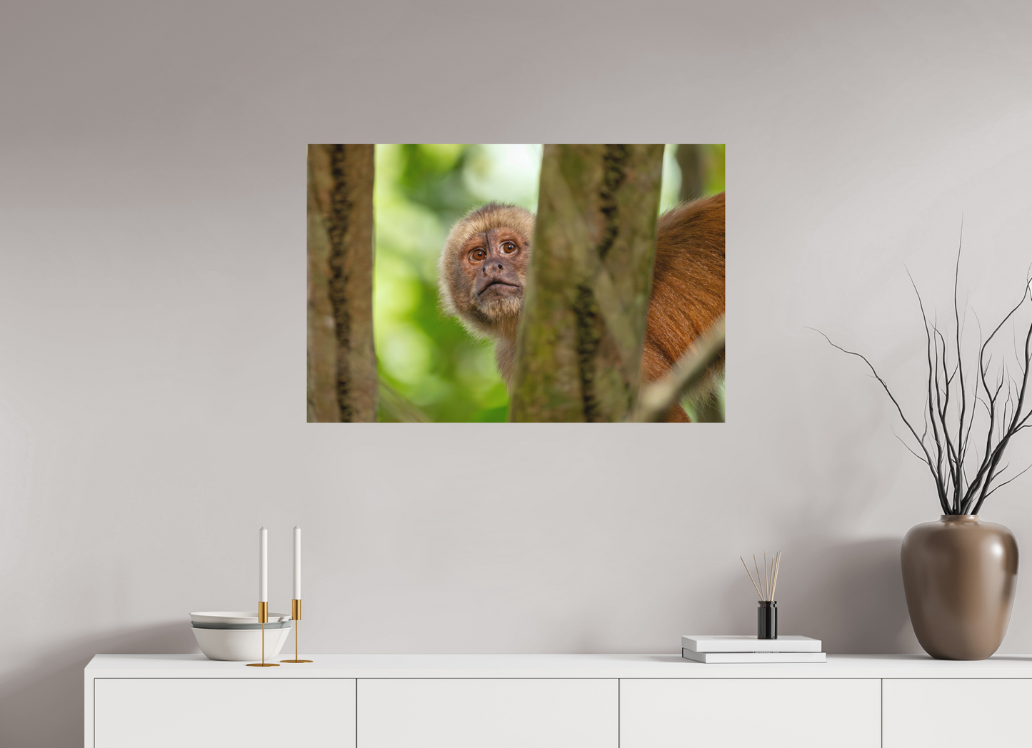 90 x 60 cm, Textured Matte Capuchin Monkey