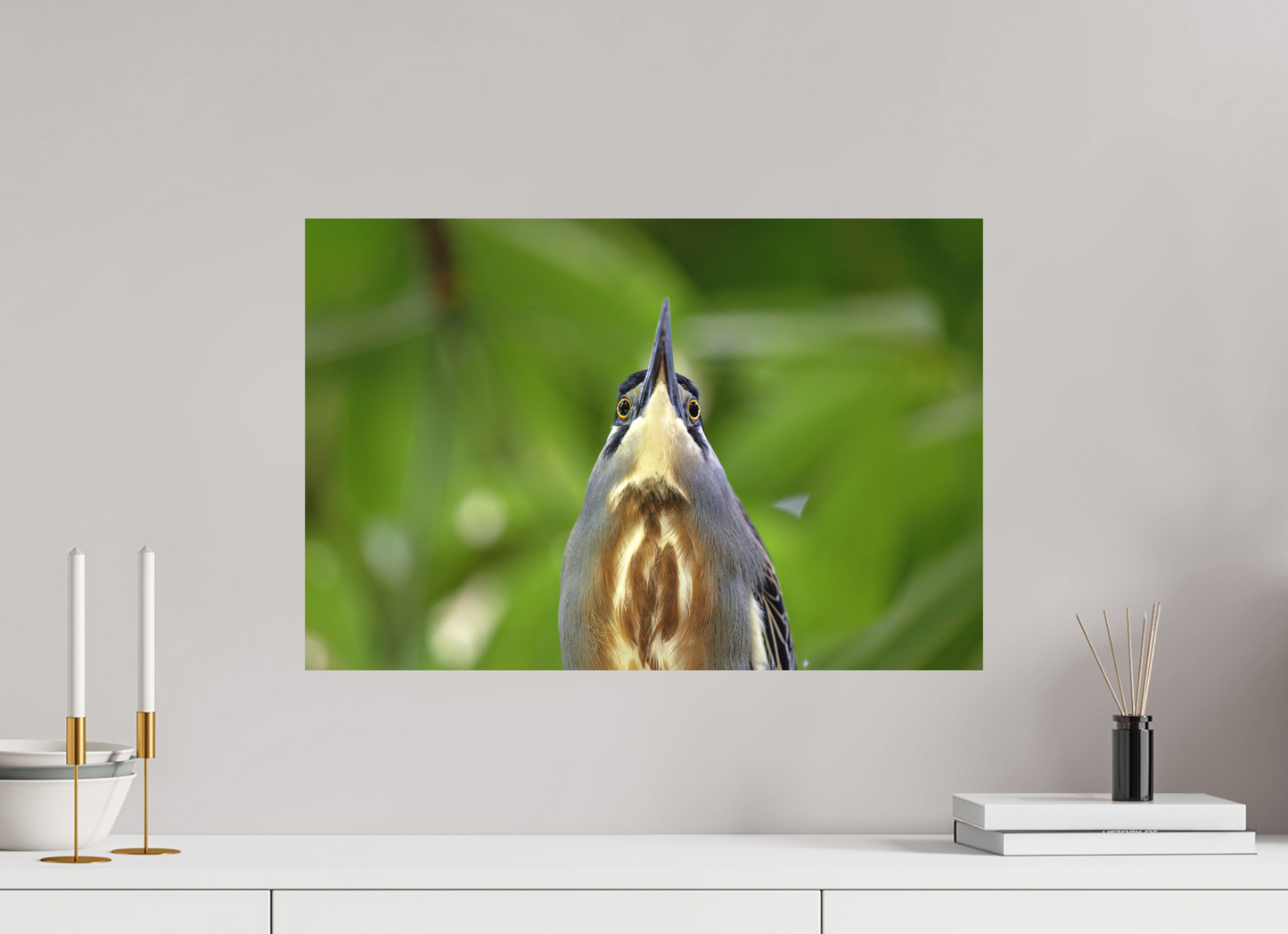 60 x 40 cm, Textured Matte young tiger heron