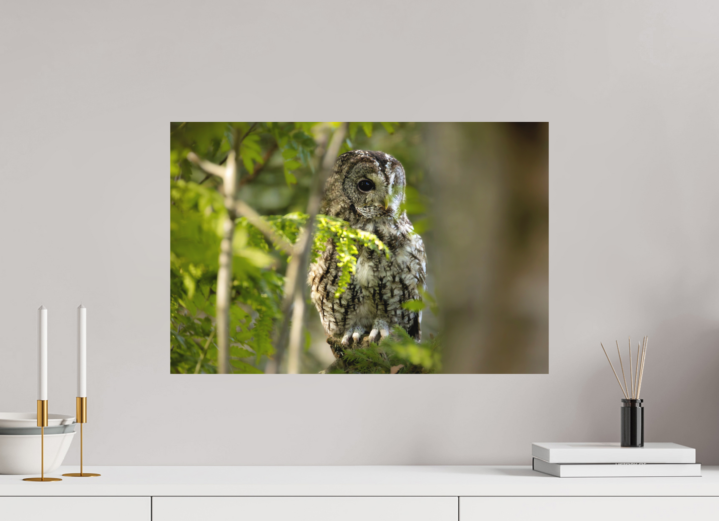 60 x 40 cm, Textured Matte owl