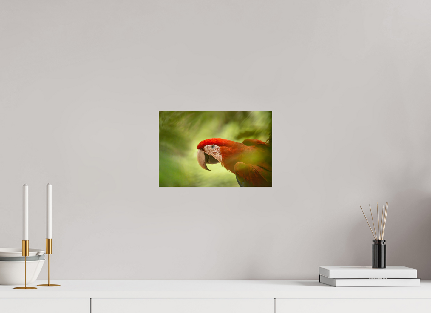 30 x 20 cm, Smooth Glossy Macaw in the tree