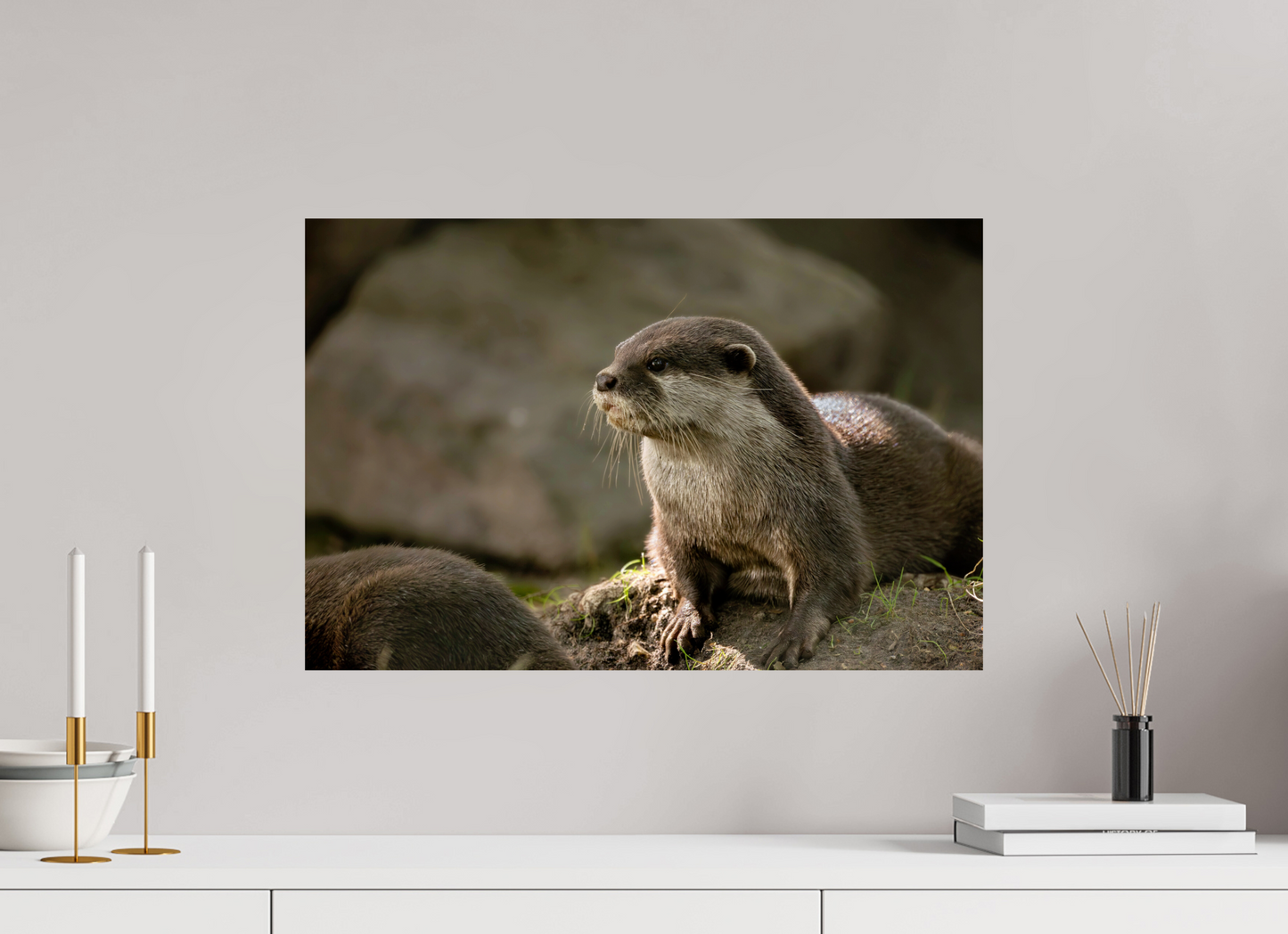 60 x 40 cm, Smooth Glossy otter.