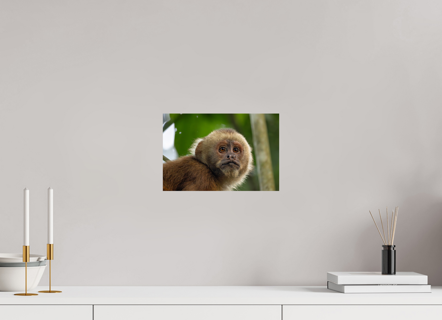 30 x 20 cm, Smooth Glossy .