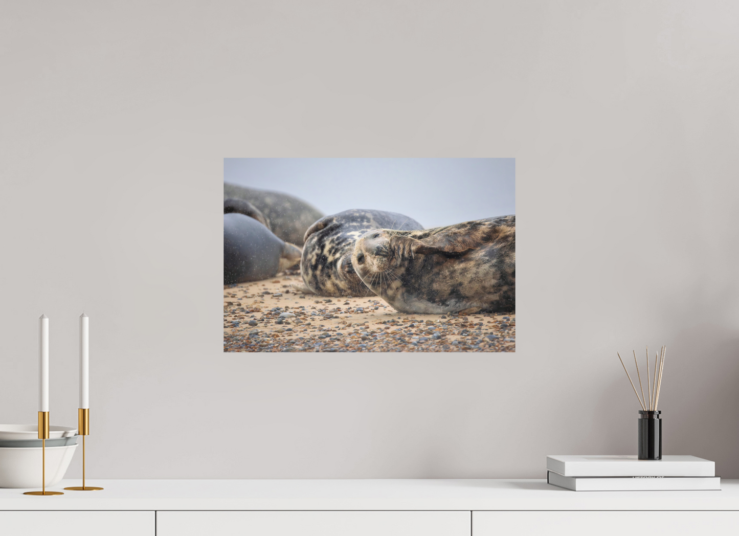 45 x 30 cm, Textured Matte seals in the rain 4
