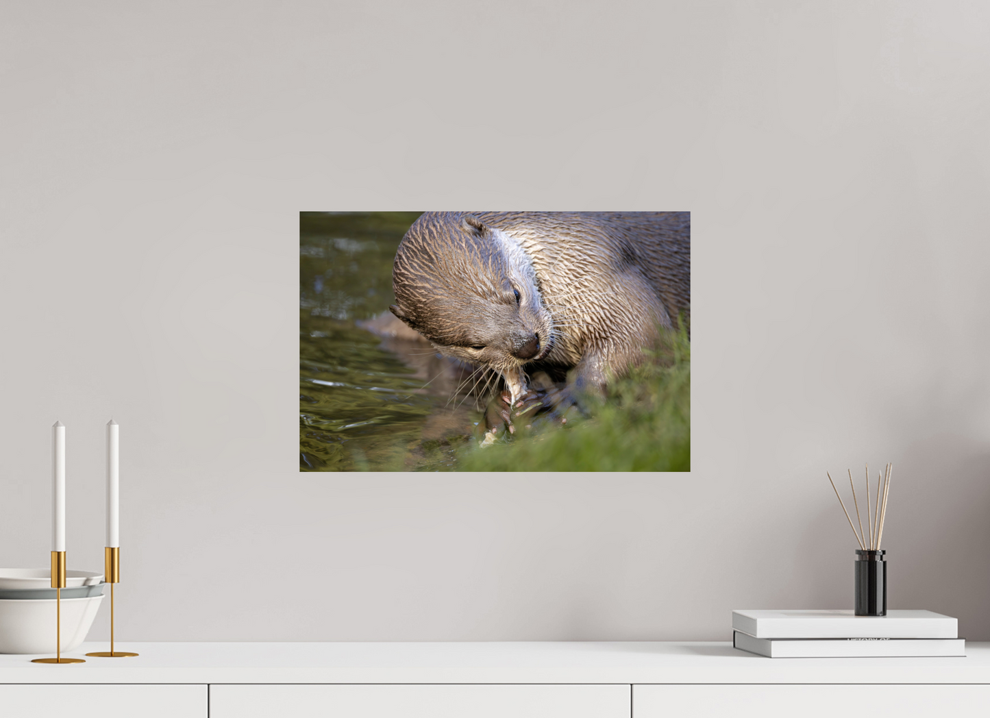 45 x 30 cm, Smooth Glossy otter eating fish