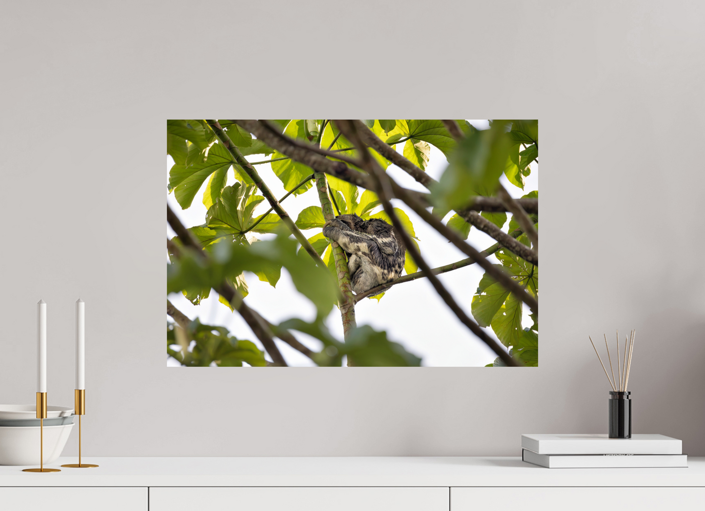 60 x 40 cm, Smooth Glossy sloth