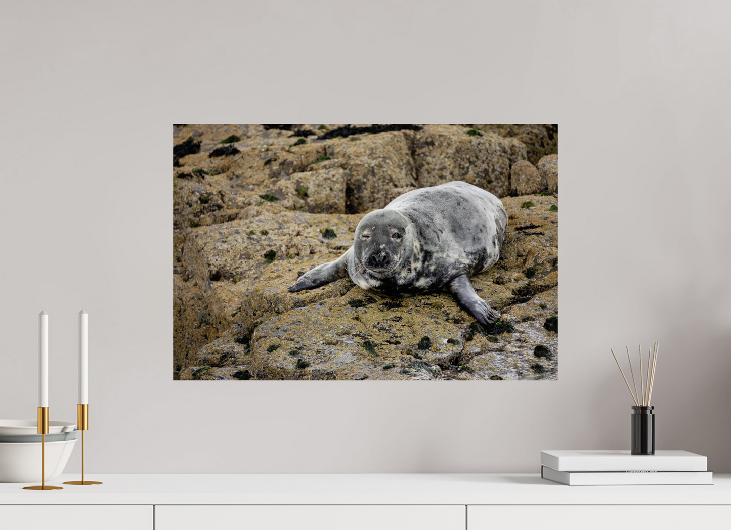 60 x 40 cm, Smooth Glossy .