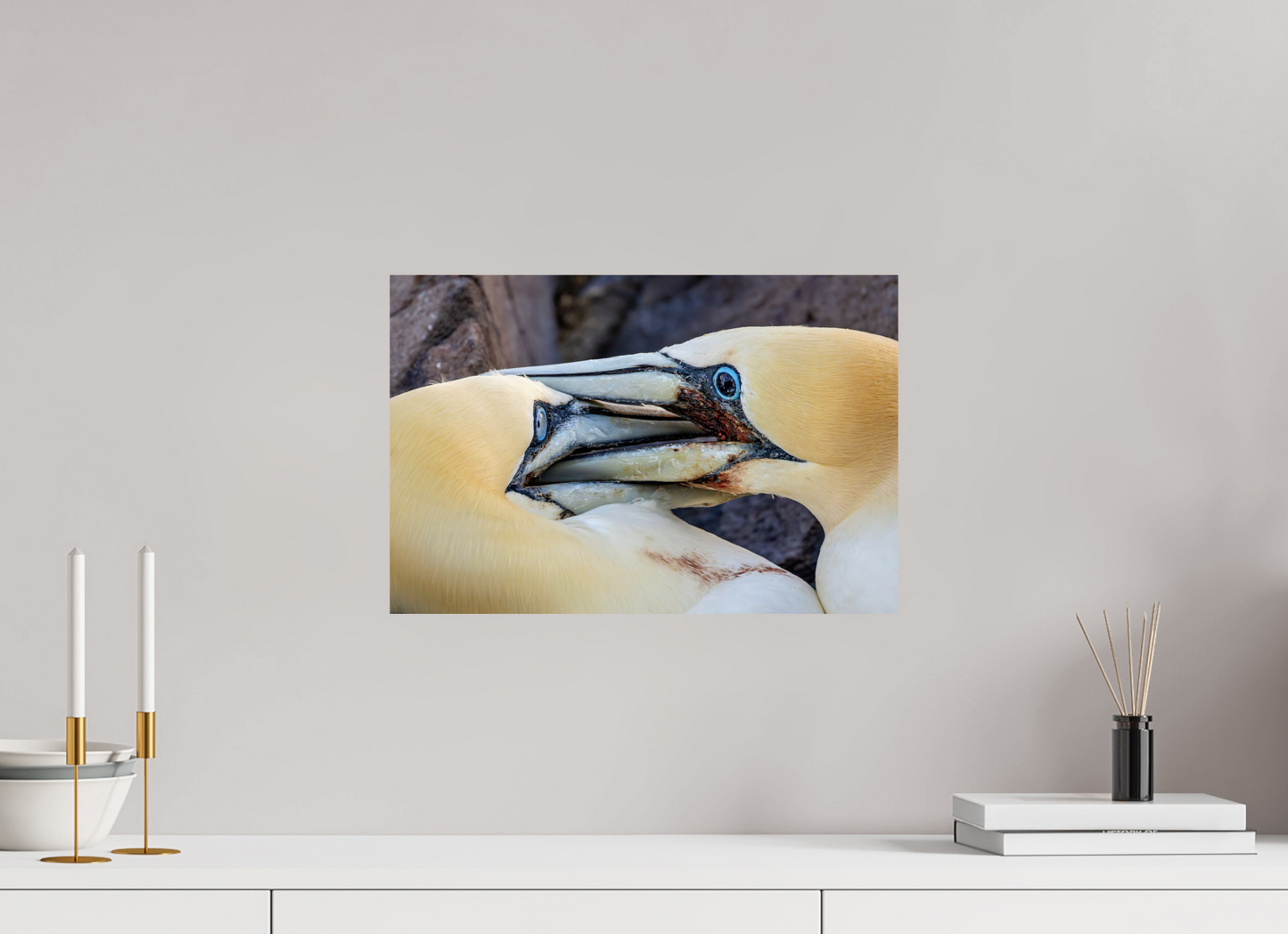 45 x 30 cm, Smooth Glossy Backed Against A Wall