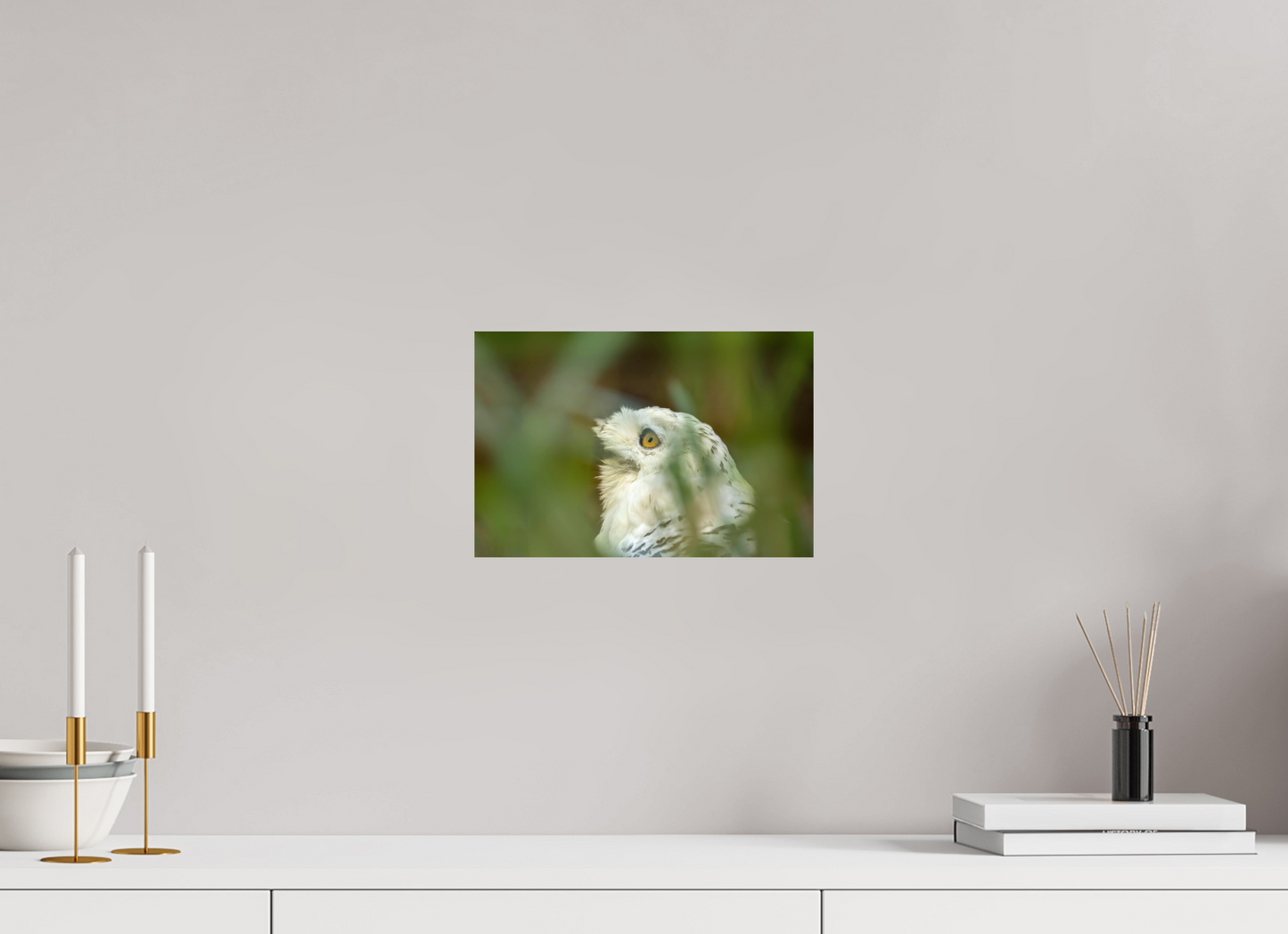 30 x 20 cm, Smooth Glossy snowy owl