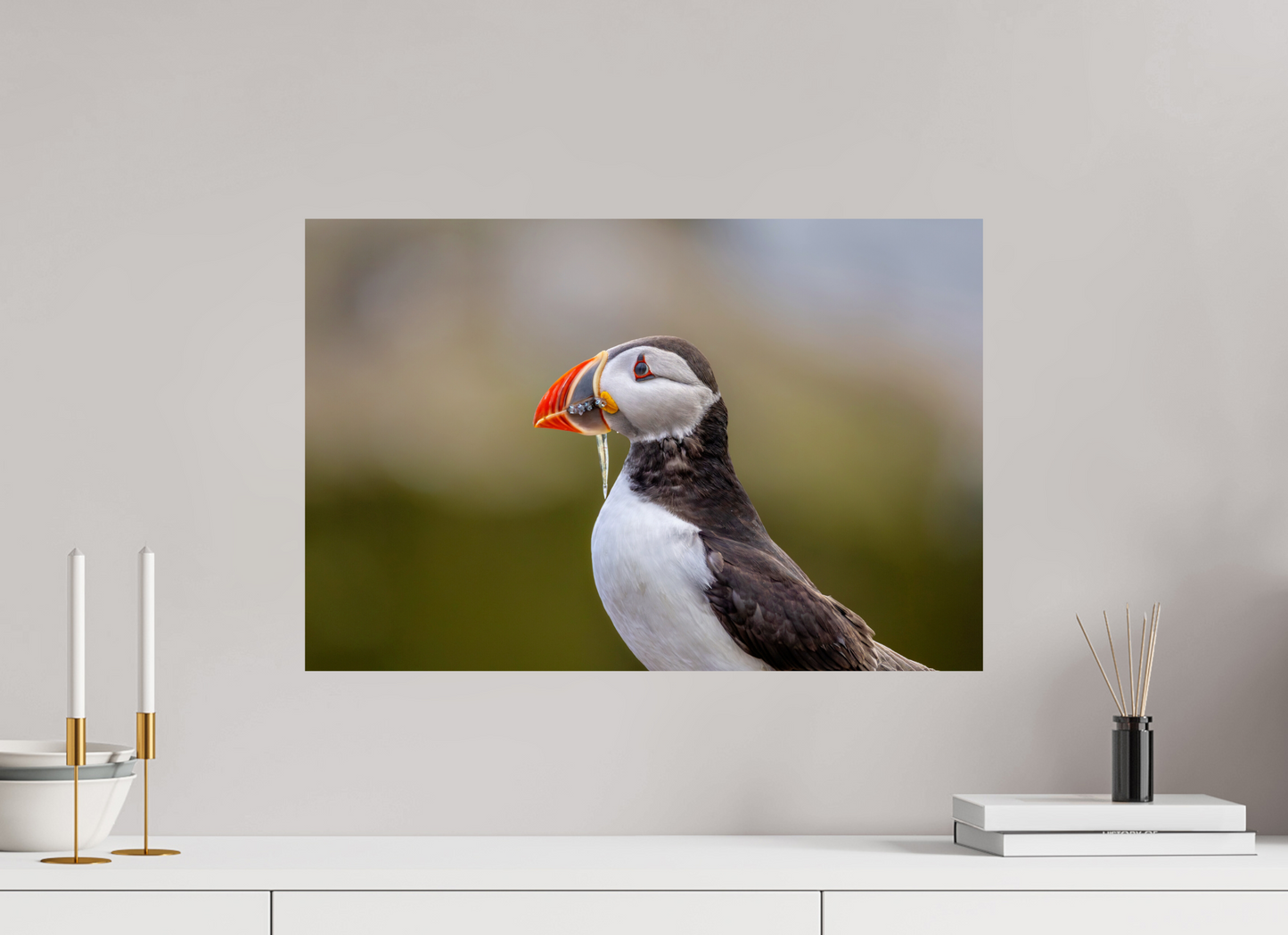 60 x 40 cm, Smooth Glossy puffin8
