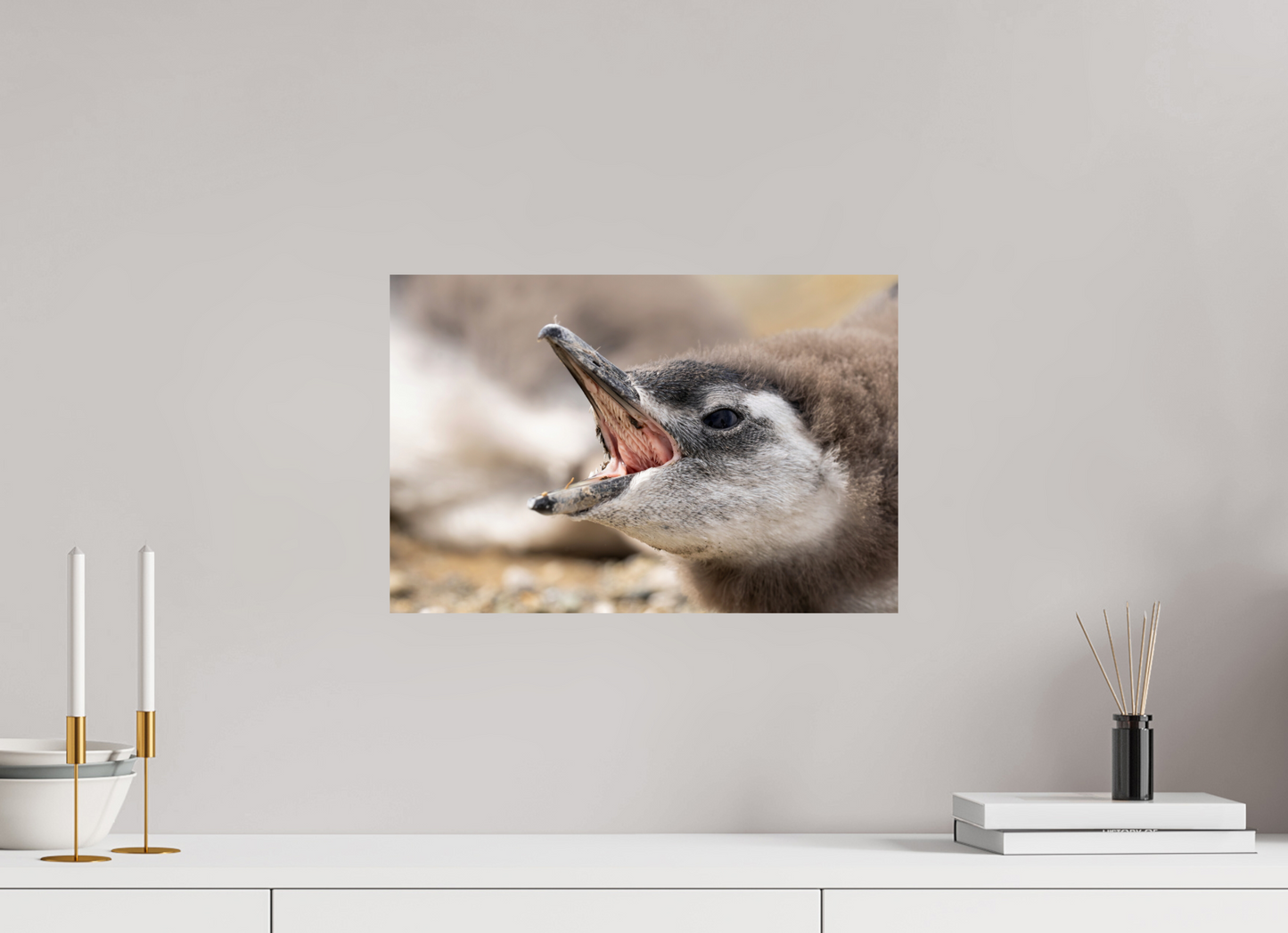 45 x 30 cm, Smooth Glossy Penguins call