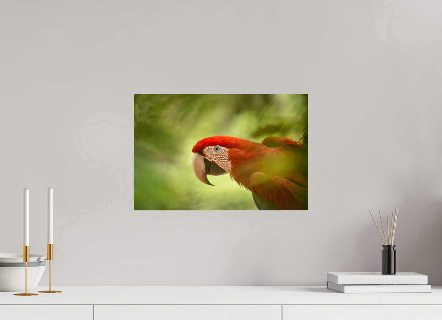 45 x 30 cm, Smooth Glossy Macaw in the tree