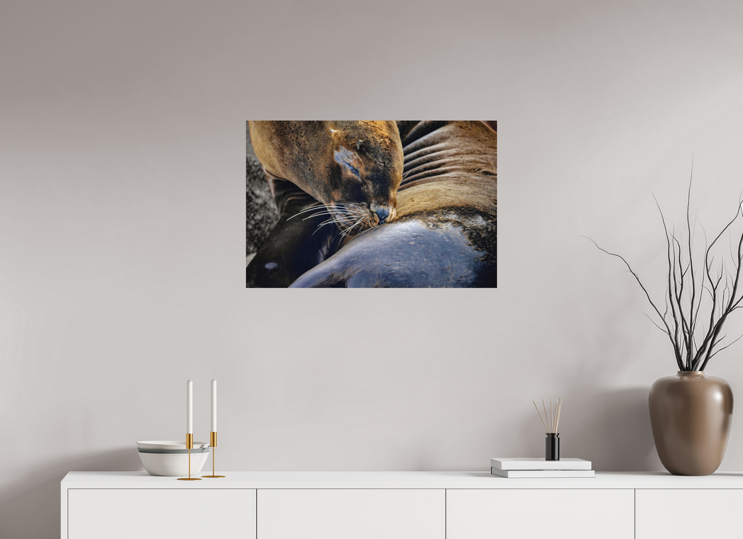 75 x 50 cm, Textured Matte sea lion