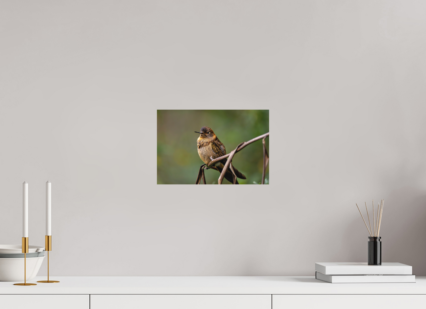 30 x 20 cm, Textured Matte hummingbird10
