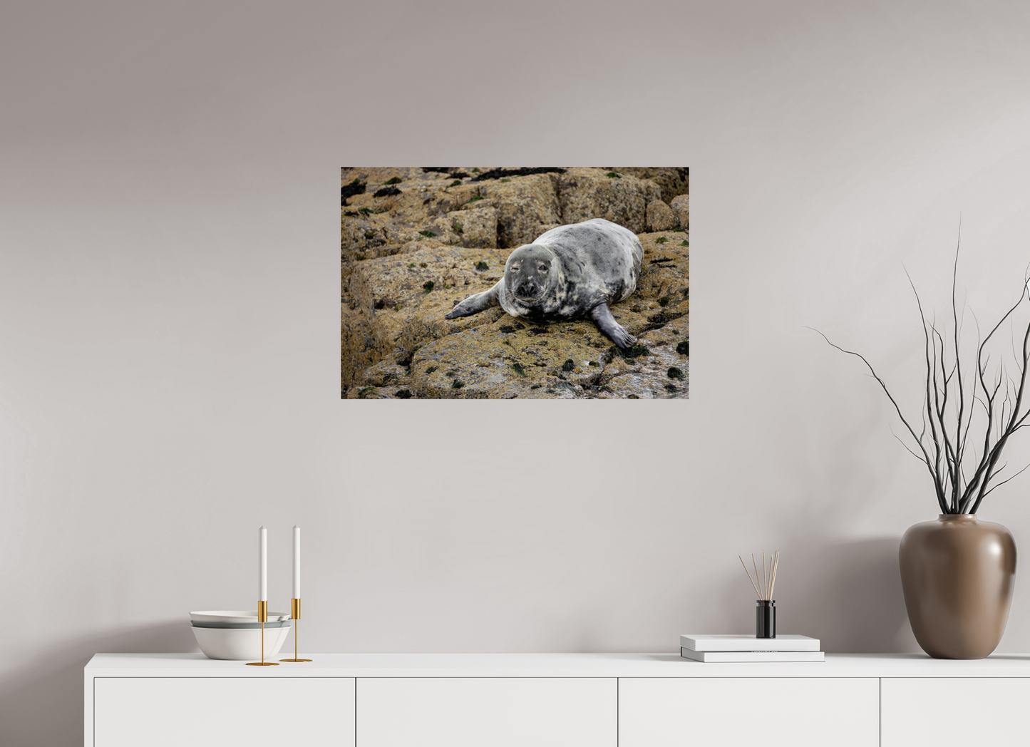 75 x 50 cm, Smooth Glossy .