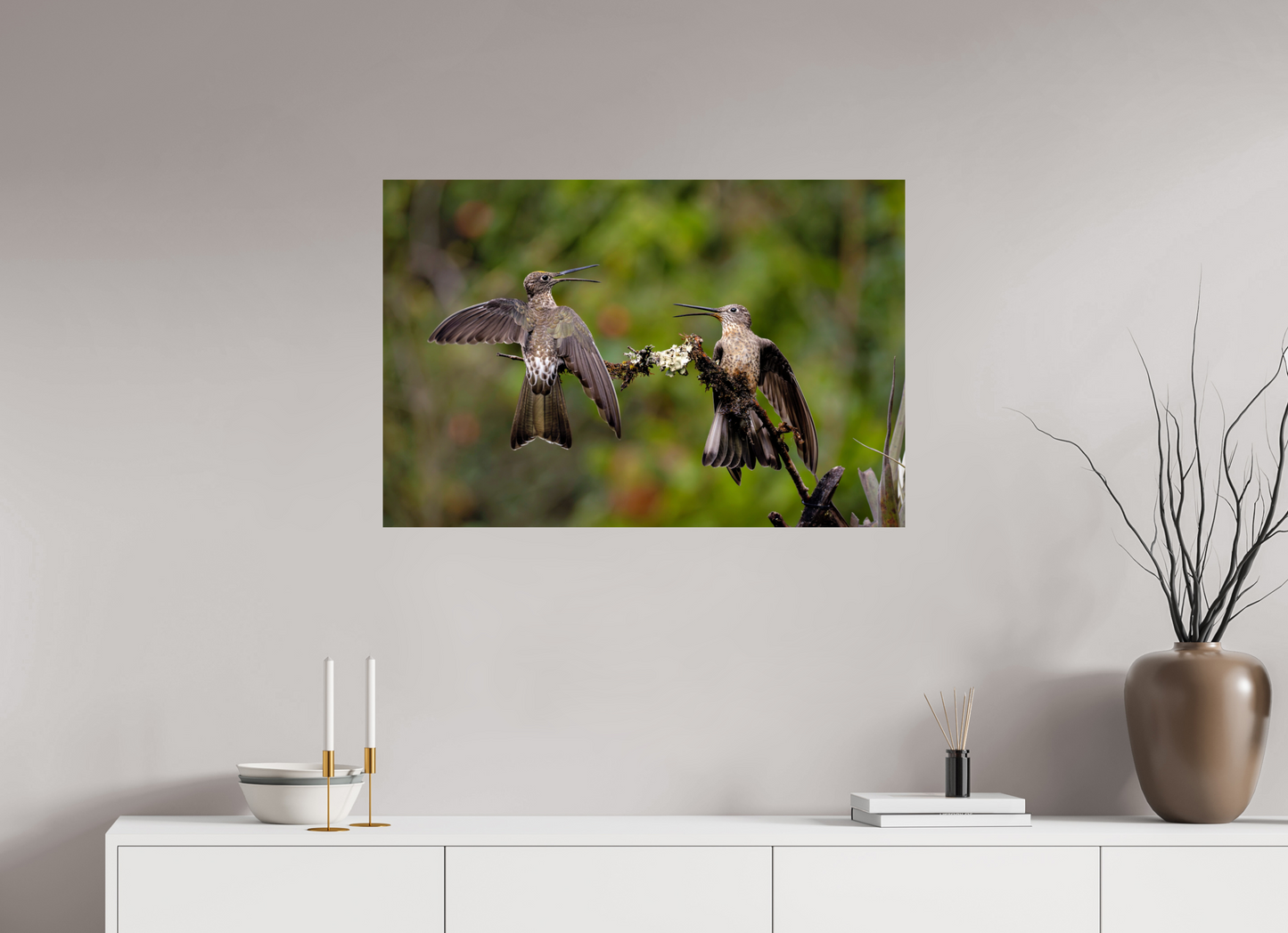 90 x 60 cm, Smooth Glossy giant hummingbirds