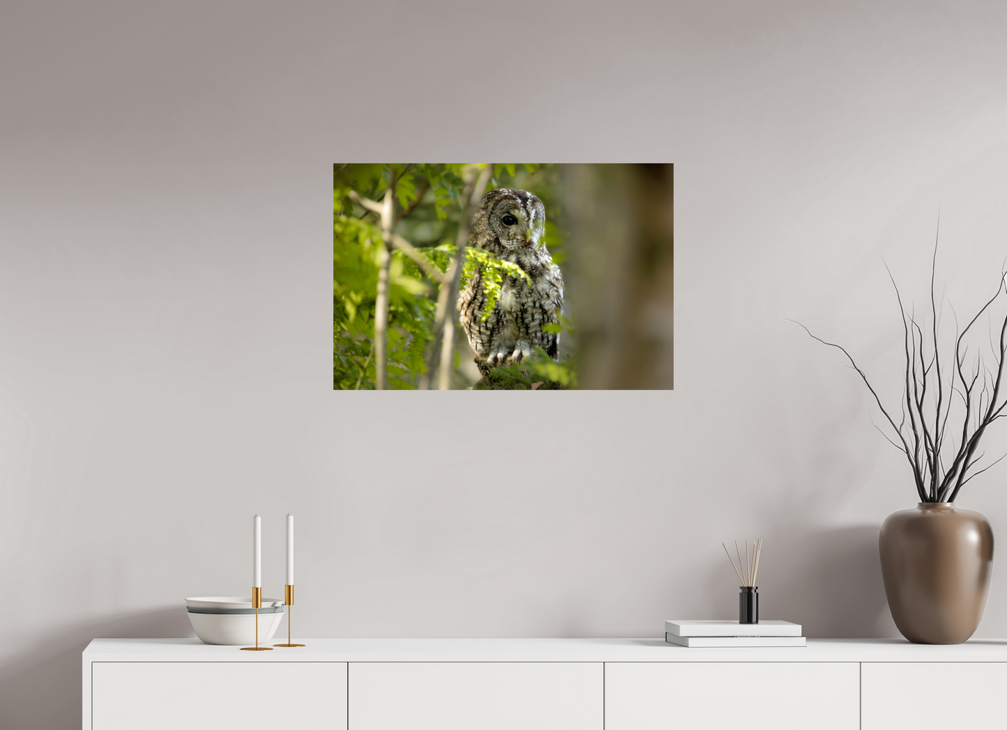 75 x 50 cm, Smooth Glossy owl