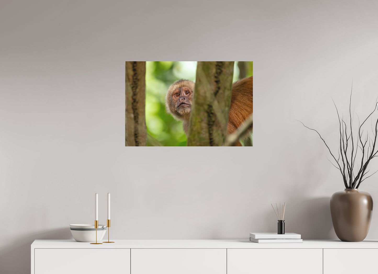 75 x 50 cm, Textured Matte Capuchin Monkey