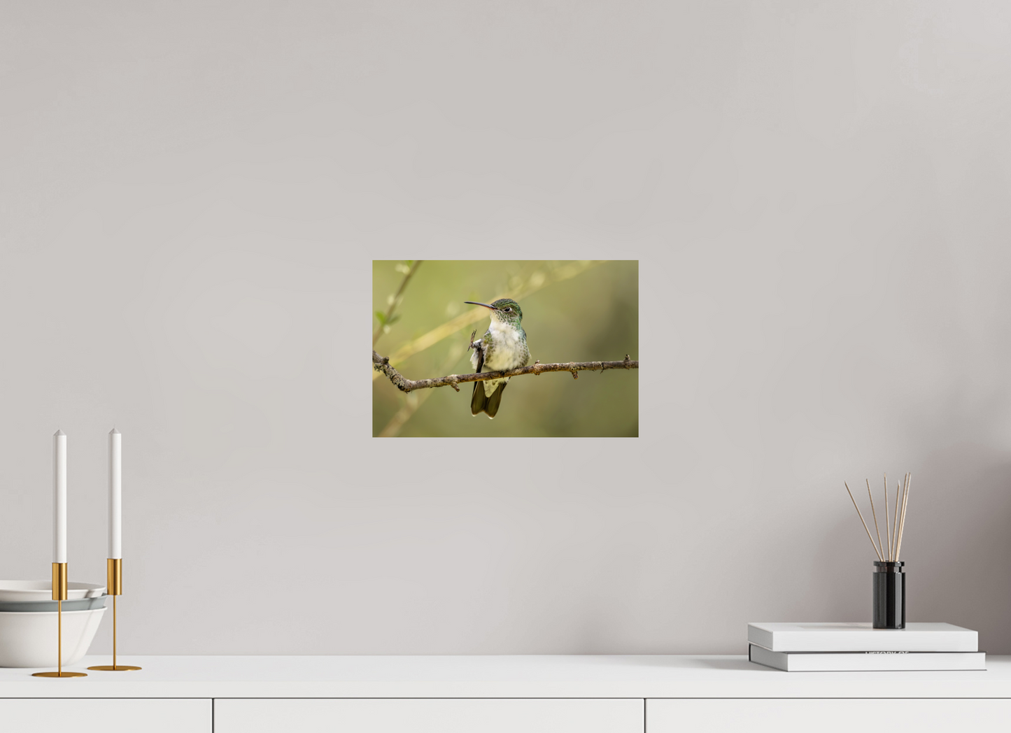 30 x 20 cm, Smooth Glossy hummingbird14