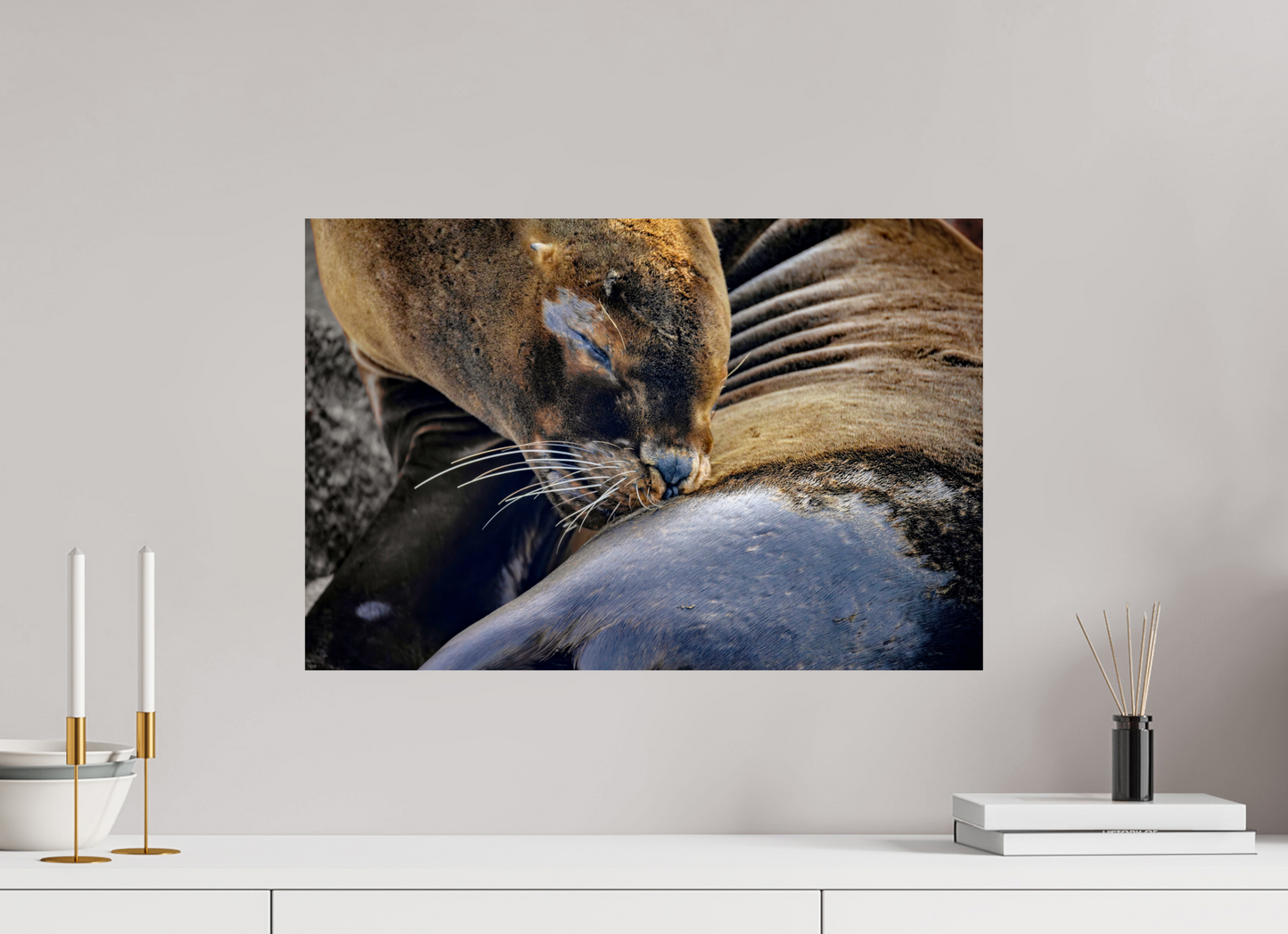 60 x 40 cm, Smooth Glossy sea lion